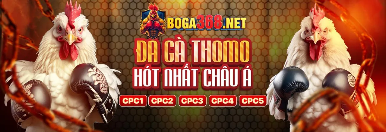 Tin tức nbet hiện đang mở 2026
