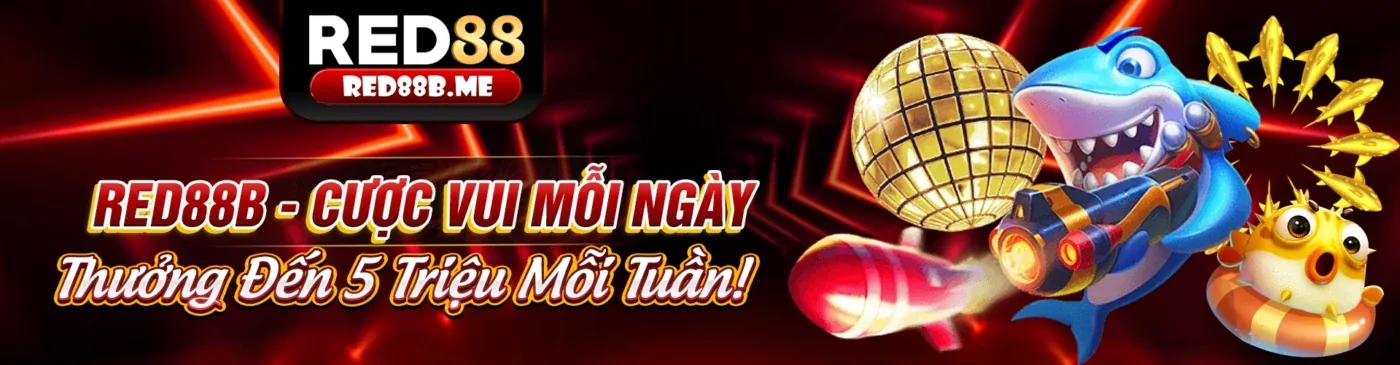Hình ảnh chính Nbet hiện đang mở 2026